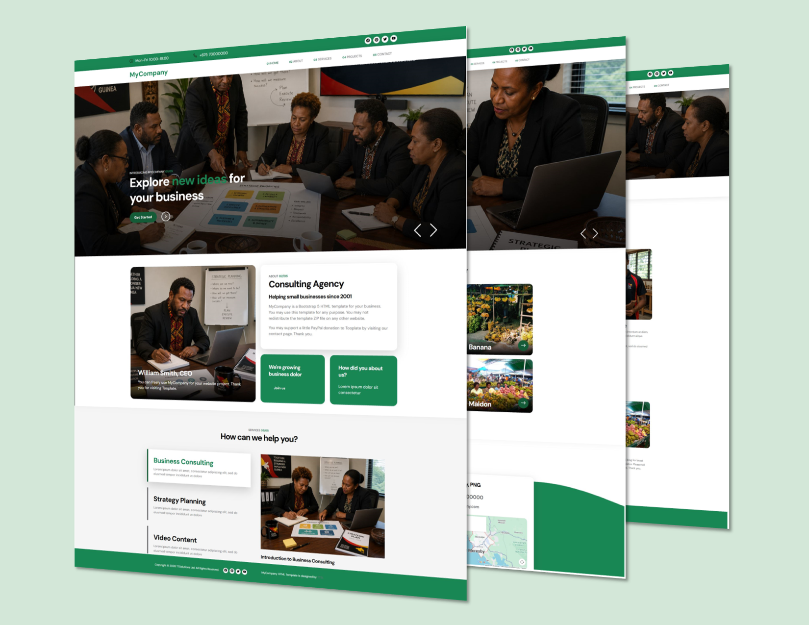 Strategic Solutions Company / NGO / Government Website